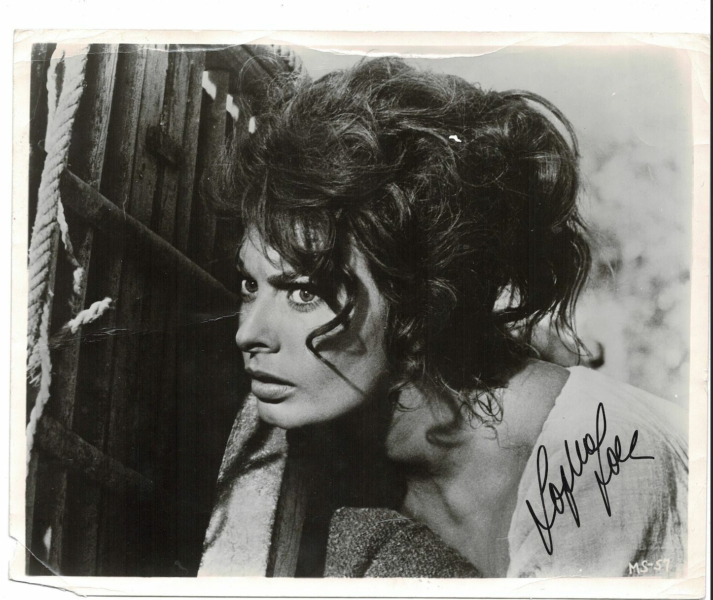 Sophia Loren signed autographed 8x10 Photo Poster painting! AMCo! 14478