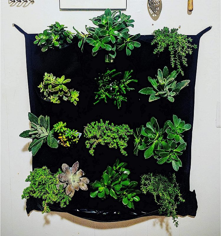 12 Pocket Waterproof Vertical Living Wall Planter