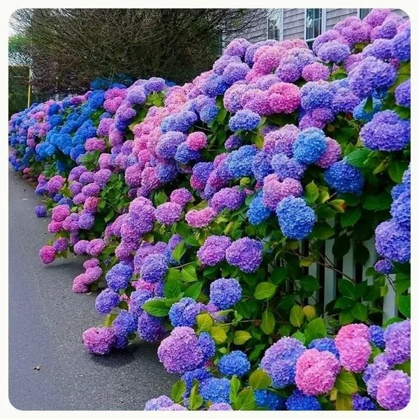 ✨This Week's Special Price $8.99💥-Outdoor Artificial Hydrangea Flowers💐