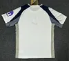 Joyfball 2025/2026 Tottenham Home Soccer Jersey 1:1 Thai Quality