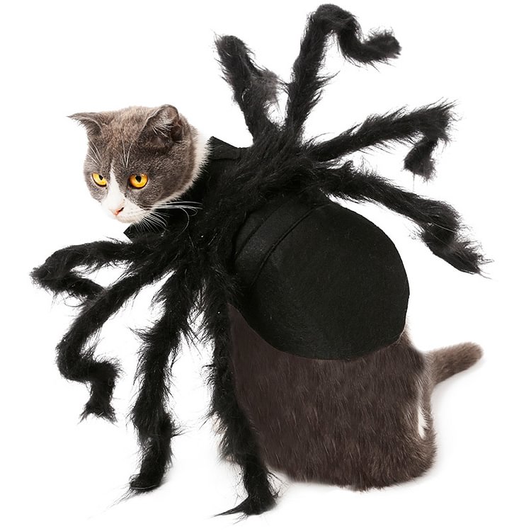 Spider Pet Disguise For Halloween, Christmas & Cosplay 1