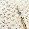 12K Gold Fully Transparent Series Piston Pen