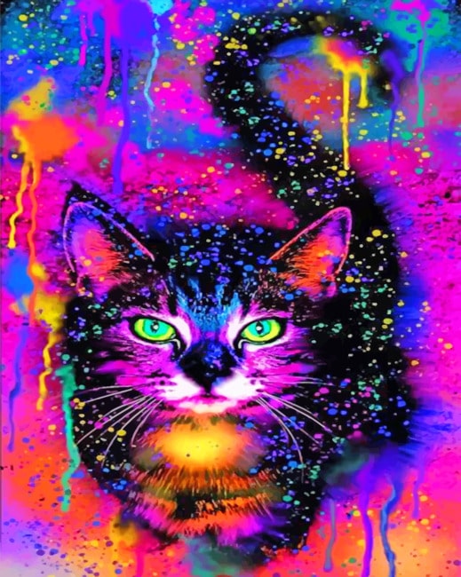 

Abstract Cat – Paint By Numbers - 40*50CM, 501 Original