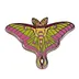 Skull Butterfly Moth