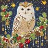 DIY Special Shape Pearl Painting Art - Christmas Owl