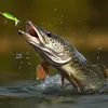 5pcs Fishing Lures Whopper Popper Artificial Bait with Rotating Tail Crankbait
