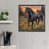Cheval-Plein diamant rond peinture-30 * 30cm