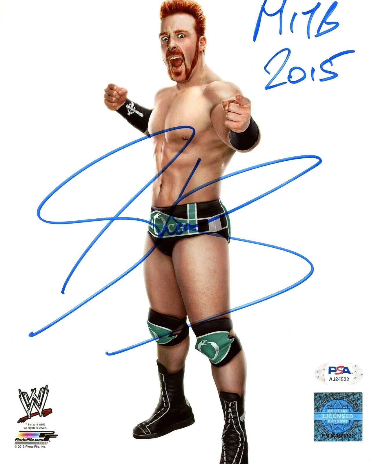 WWE SHEAMUS HAND SIGNED AUTOGRAPHED 8X10 Photo Poster painting WITH PROOF AND PSA DNA COA 5