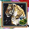 Bead Embroidery - Partial Printed 9CT Tiger(47x45 CM)