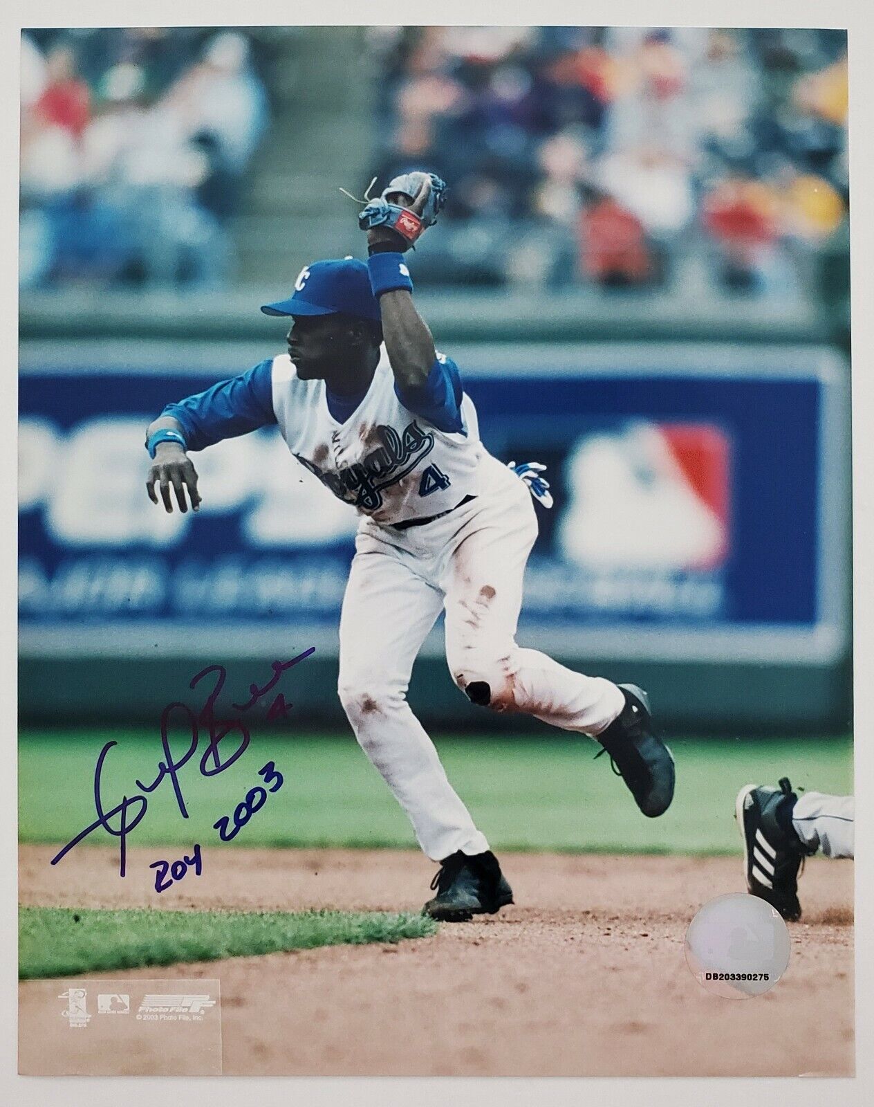 Angel Berroa Signed 8x10 Photo Poster painting MLB Kansas City Royals Shortstop 2003 ROY RAD