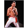 (Multi-Style) Freddie Mercury - 11CT Stamped Cross Stitch 40*50cm/15.75*19.69in