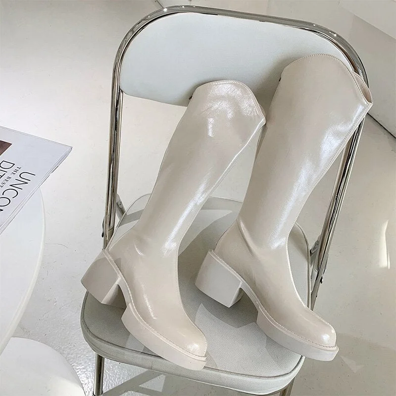 Women's Fashion Thigh High Long Boots Solid Square Heels Ladies Shoes Autumn Winter Soft Leather Zip Female Knee High Boots 2021