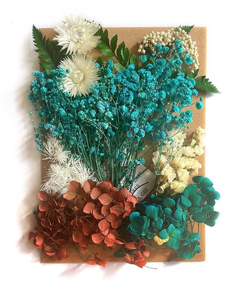 1 Pack Mix Colors Real Dried Flowers Set