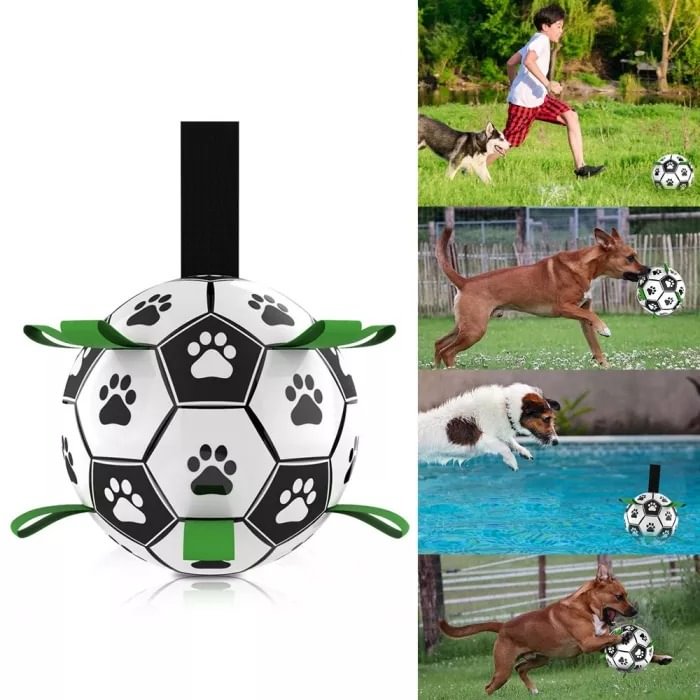 Interactive Dog Toy Puppy Pet Soccer Ball Toys