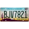 Arizona  - Car License(12*6Inch)