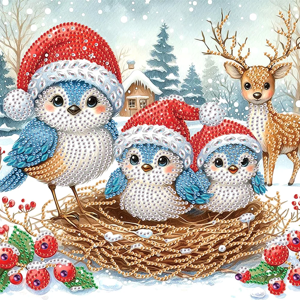 Diamond Painting - Partial Special Shaped Drill - Xmas Bird(Canvas|30*30cm)
