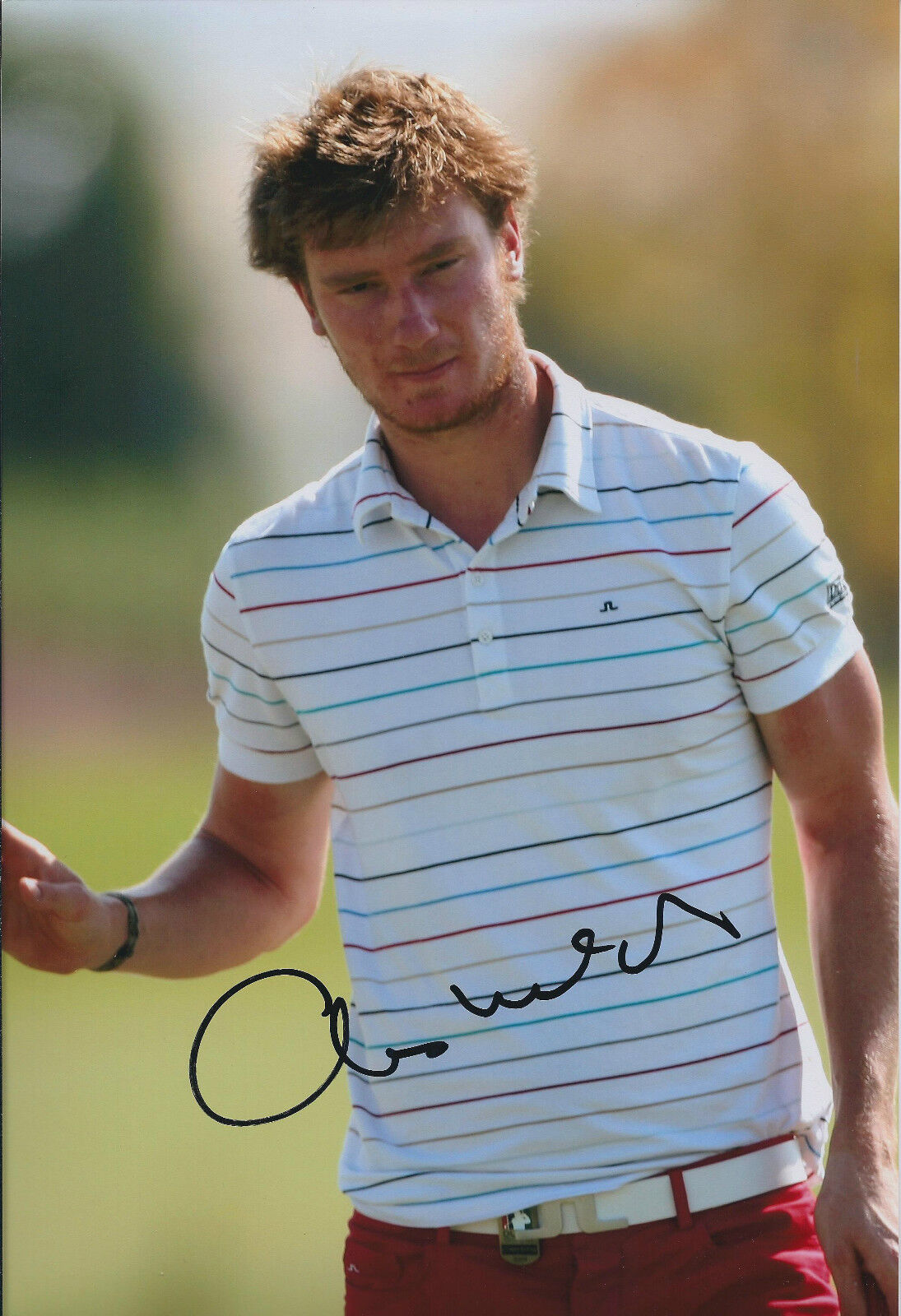 Chris WOOD SIGNED AUTOGRAPH Golf 12x8 Photo Poster painting AFTAL COA In Person RARE