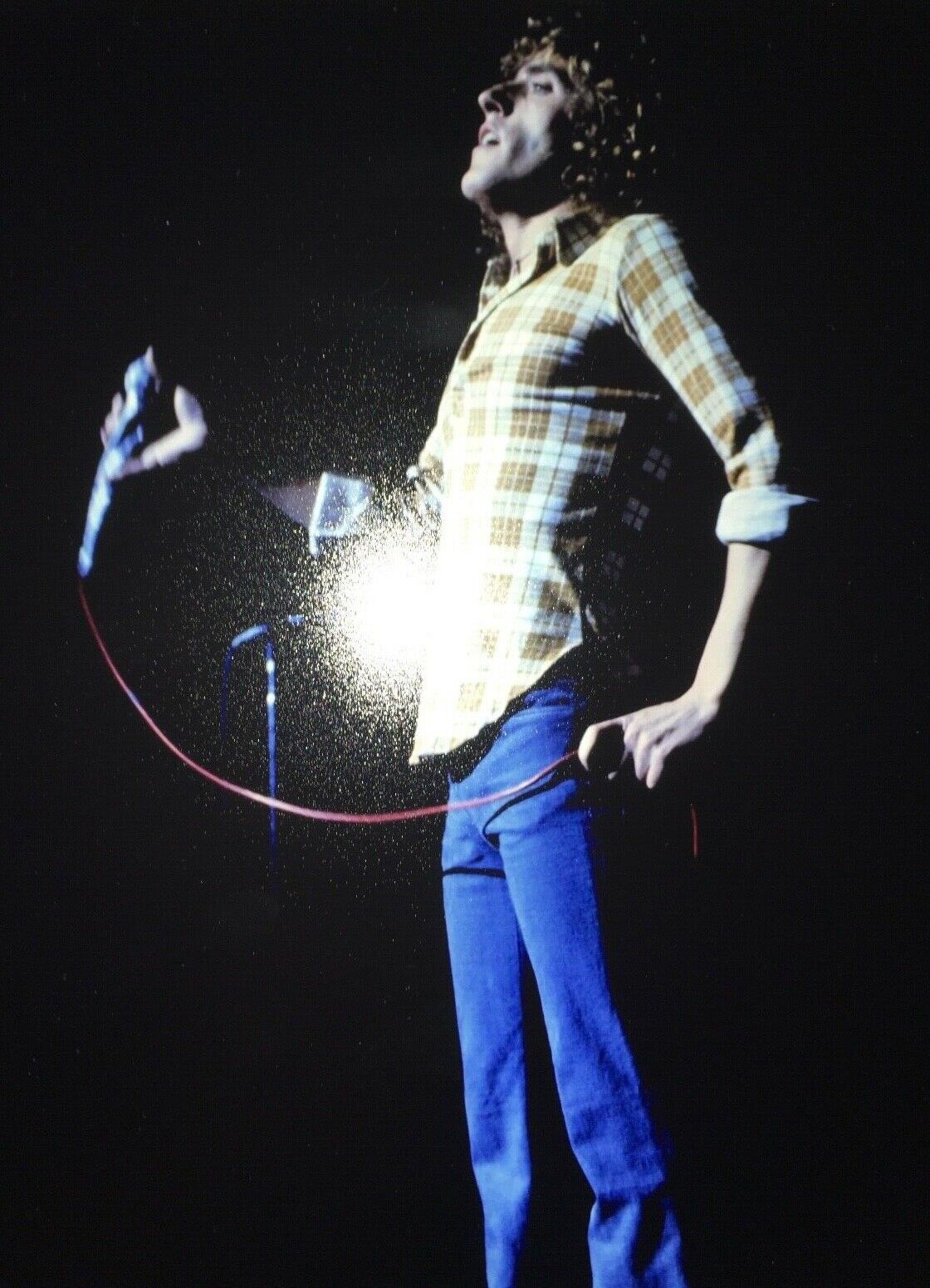ROGER DALTRY - THE WHO - CHART TOPPING BAND - BRILLIANT UNSIGNED Photo Poster paintingGRAPH