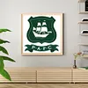 Diamond Painting -DIY Round Drill Plymouth Football Club