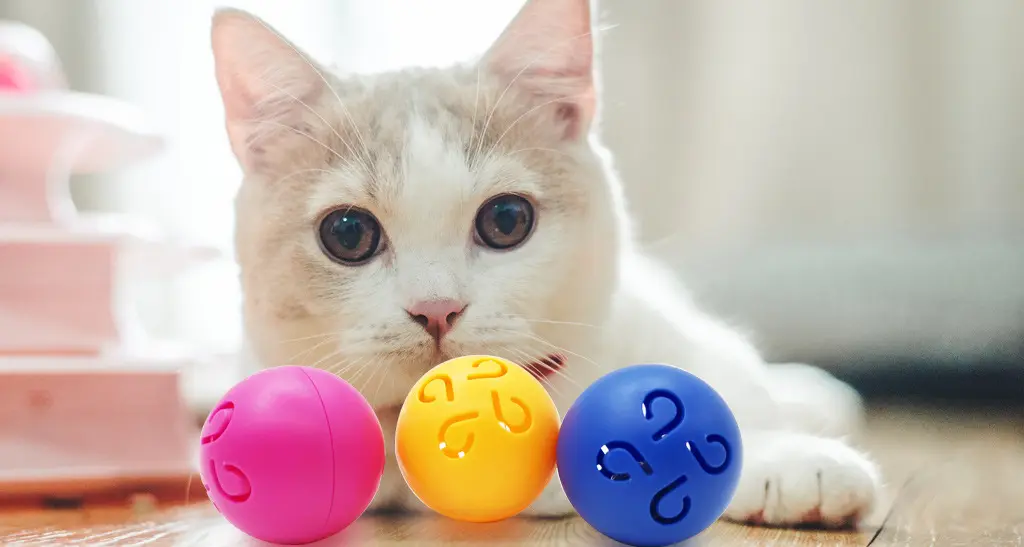 What toys do cats like to play with? What are the most popular cat toys？