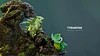 Grass Type Family Series Tyranitar Family - Pokemon Resin Statue - Gene Studios