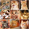 Diamond Painting-DIY Full Drill  Cat
