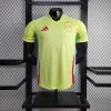 2024 Player Version Spain Away Football Shirt 1:1 Thai Quality