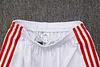 Joyfball 2025/2026 Bayern Munich Long Zipped Jacket 125-Year Anniversary White Football Jersey 1:1 Thai Quality 