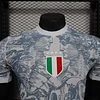 2025 Player Version Italy Training Wear Grey Football Shirt 1:1 Thai Quality