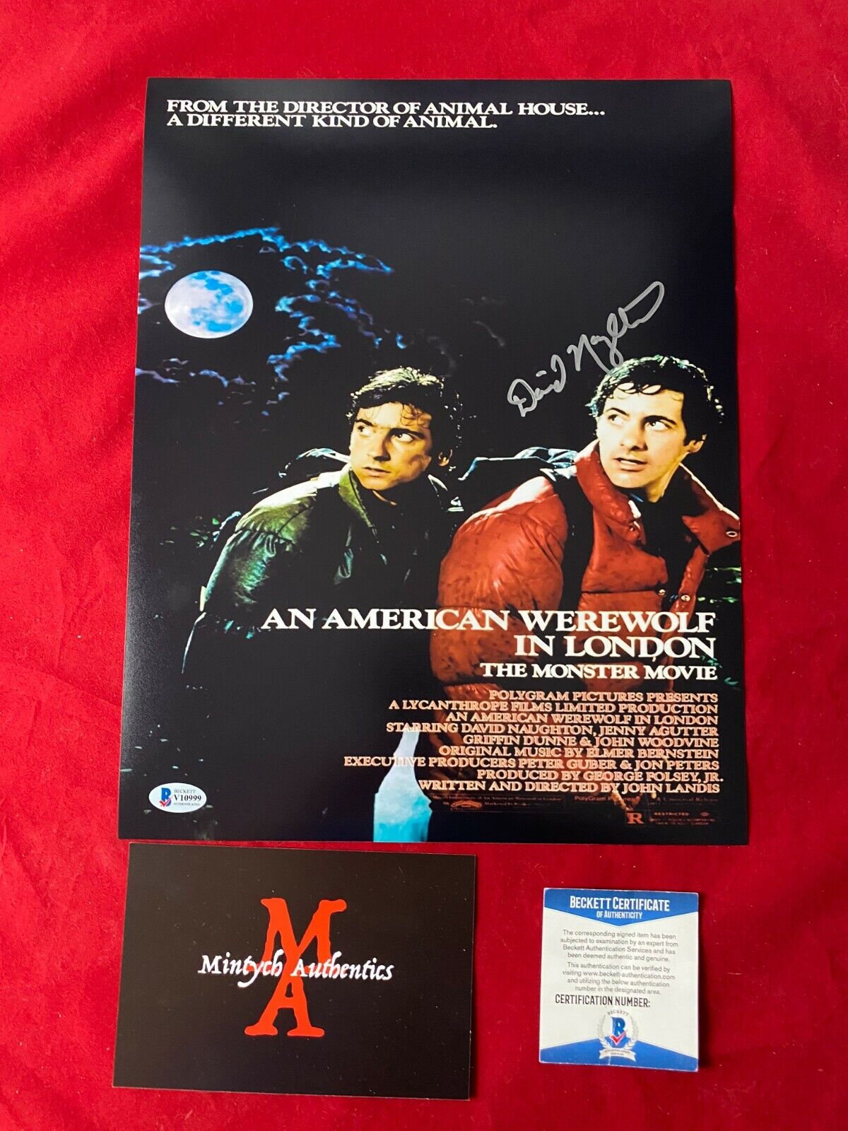 DAVID NAUGHTON AN AMERICAN WEREWOLF IN LONDON SIGNED 11x14 Photo Poster painting! BECKETT COA!