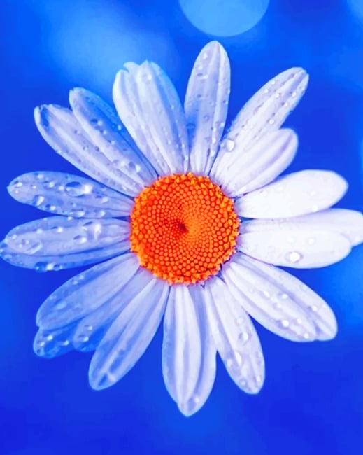 

Aesthetic White Flower – Paint By Numbers - 40*50CM, 501 Original