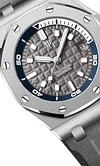 DIVER Grey Dial 42mm
