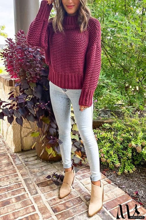 MidiSono - High Collar Sweater