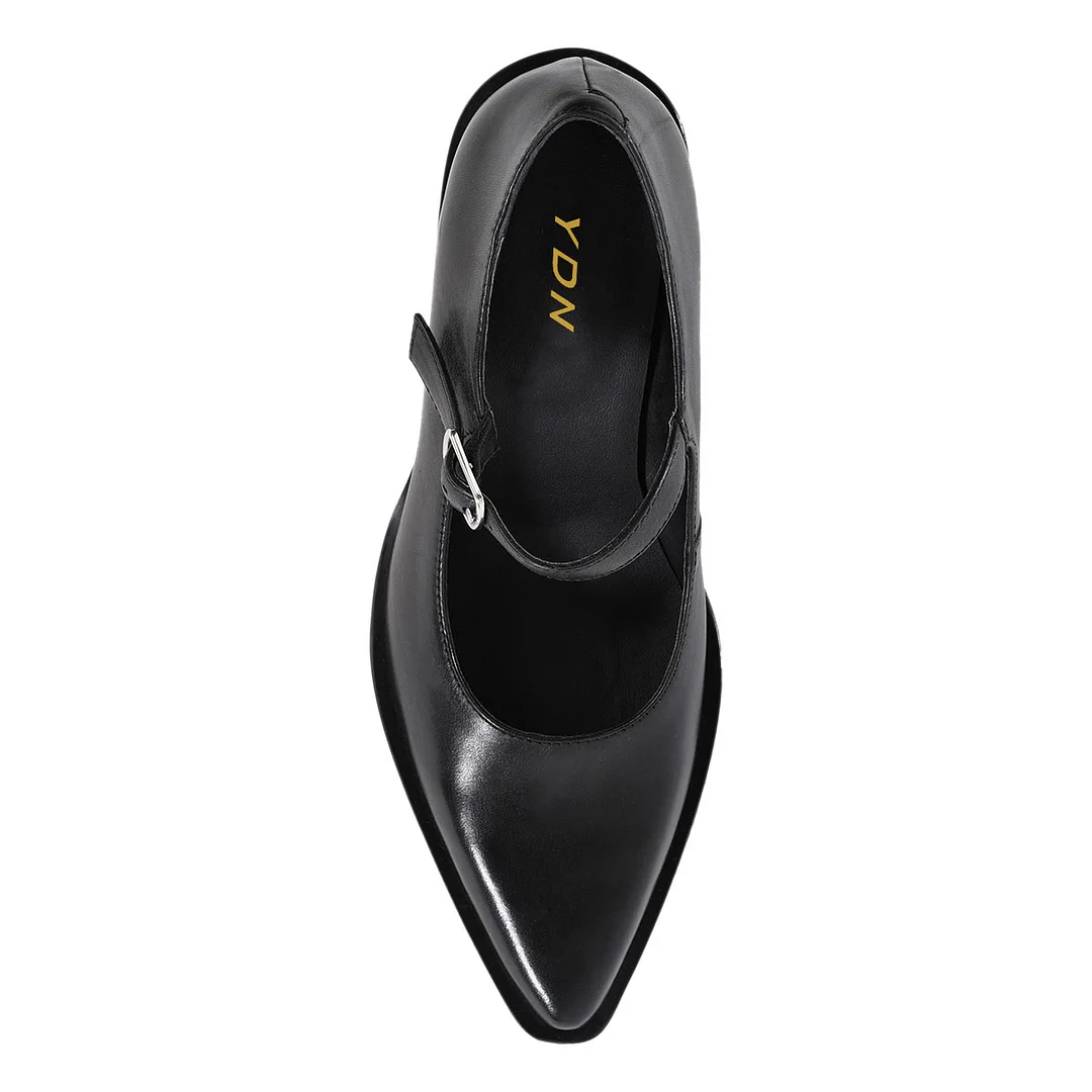 Black Chunky Heel Buckle Pointed Toe Formal Mary Jane Shoes