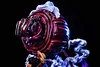 WCF Scale Gear Fourth Dual Form Monkey D. Luffy - ONE PIECE Resin Statue - HZ-Studios [In Stock]