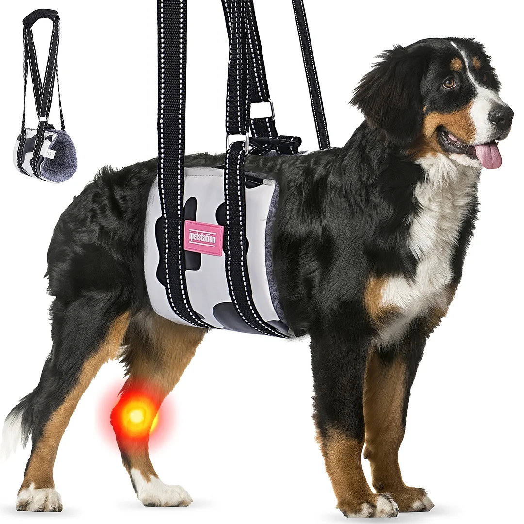 Dog Lift Harness Large Small Medium Sized Dogs,Dog Sling Support Harness Rear for Back Legs Senior Assist Hip Recovery Black White (L)