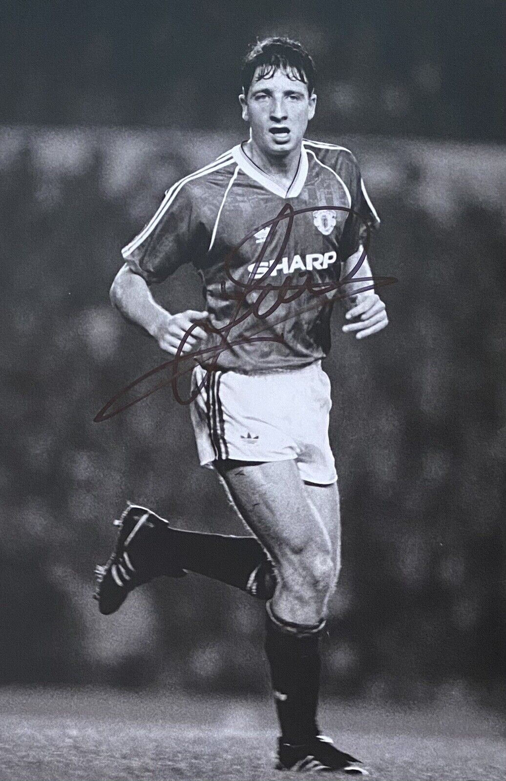 Lee Martin Genuine Hand Signed Manchester United 12x8 Photo Poster painting