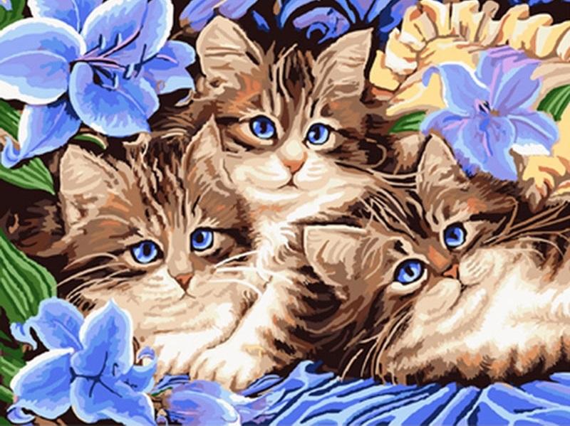 

Cartoon Cats – Paint By Numbers - 40*50CM, 501 Original