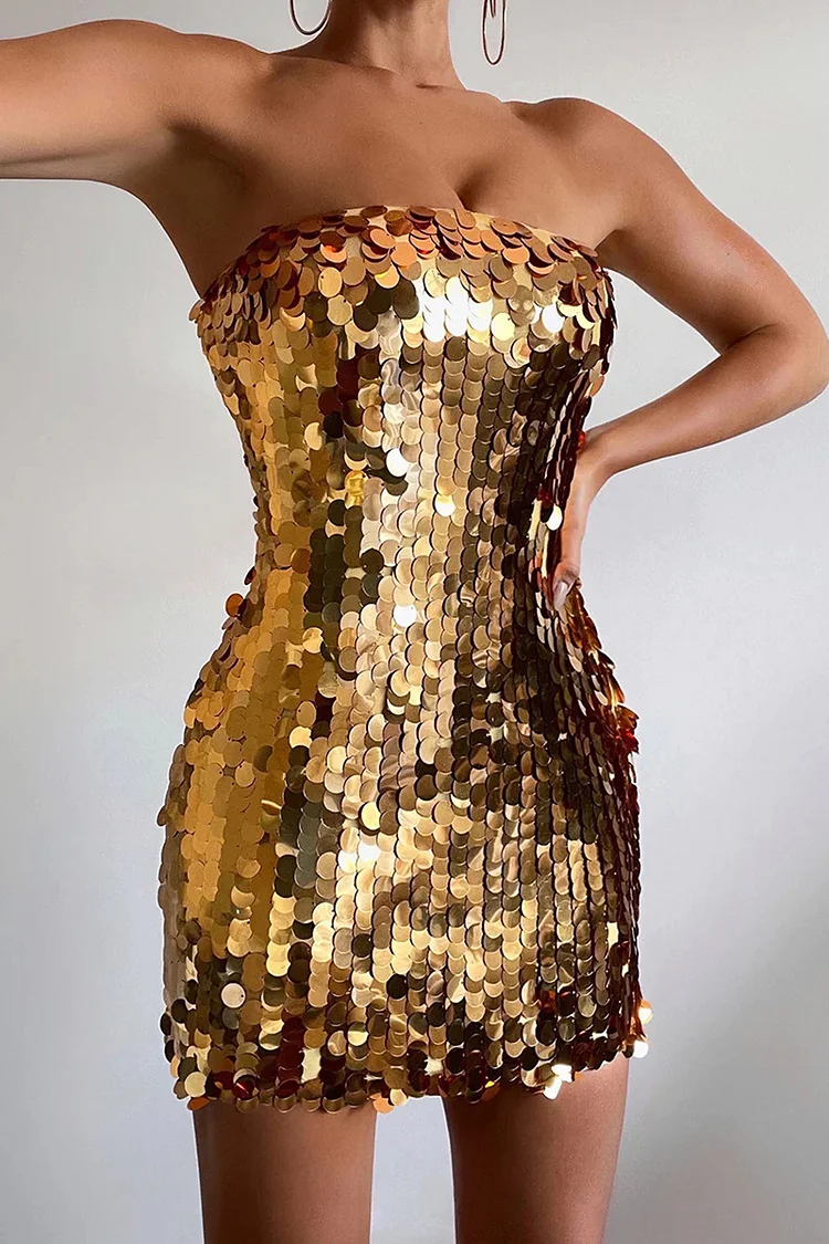 Sequin Tube Bodycon Birthday Party Mini Dress