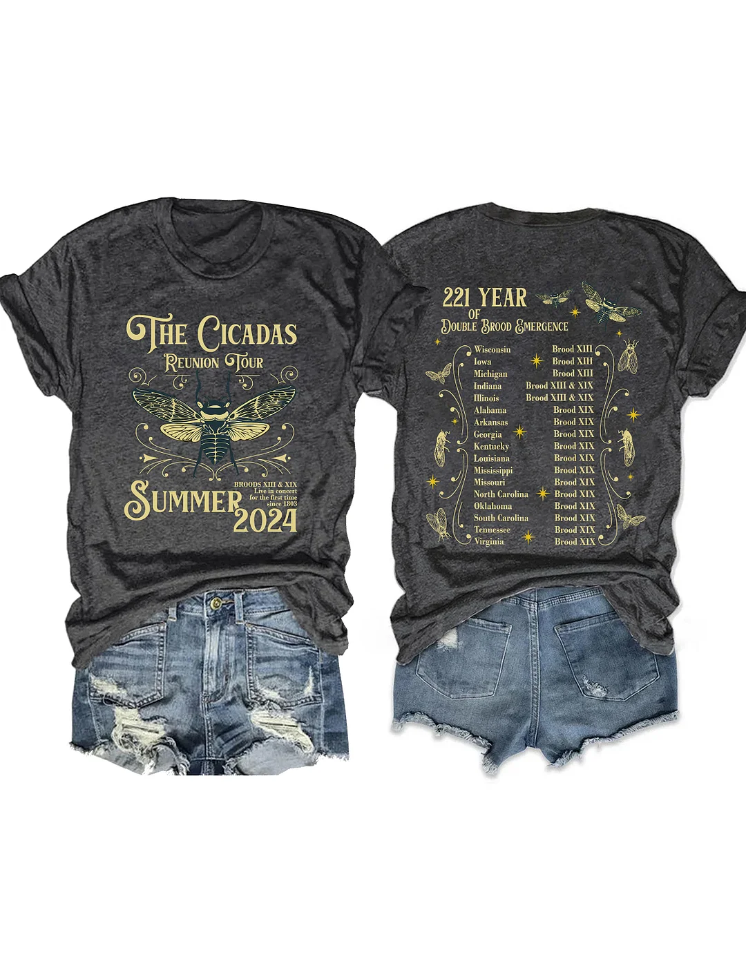 The Cicadas Reunion Tour Summer 2024 T-shirt