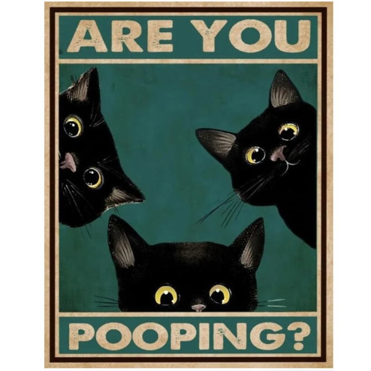 Are You Pooping Cat - Vintage Tin Signs/Wooden Signs - 7.9x11.8in & 11.8x15.7in