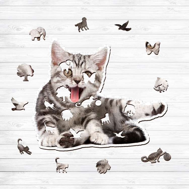 Cats