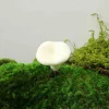 Styrofoam simulated mushroom ornaments outdoor decoration park landscape villa courtyard garden landscaping
