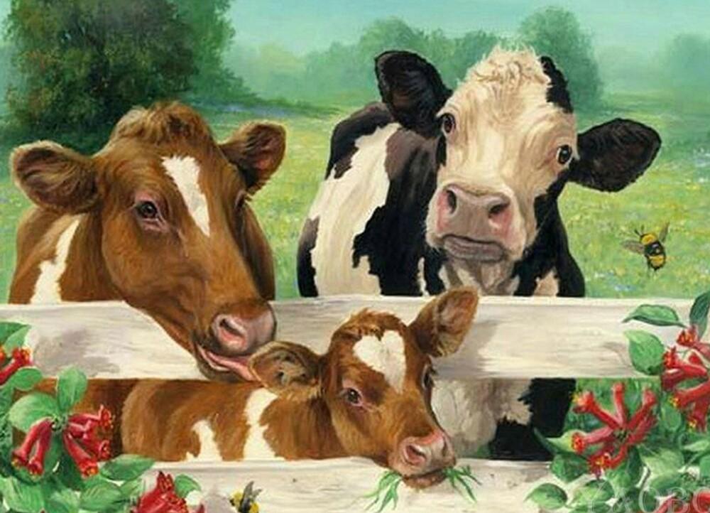 

Cows in Cowshed – Paint By Numbers - 40*50CM, 501 Original
