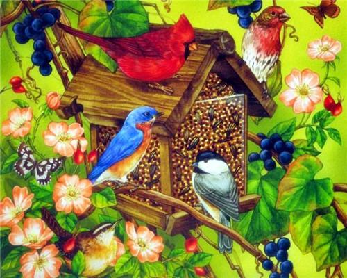 

Colourful Bird Houses – Paint By Numbers - 40*50CM, 501 Original