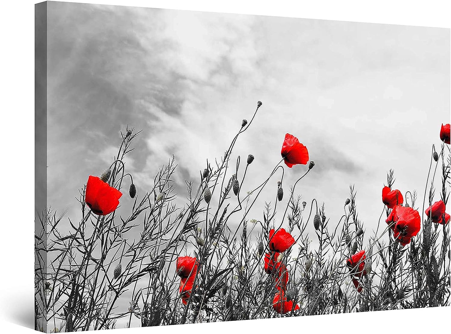 Startonight Canvas Wall Art Abstract - Black and White with Red Poppies - Framed 24 inch  x 36 inch  24&#034; x 36&#034;