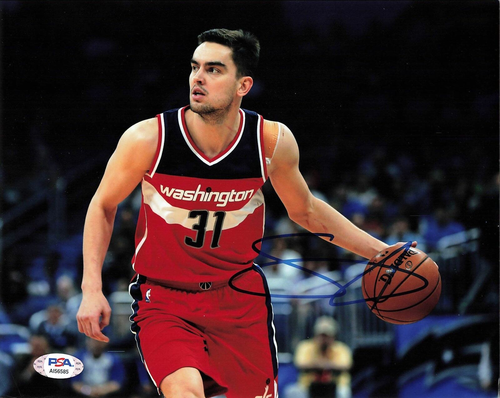 Tomas Satoransky signed 8x10 Photo Poster painting PSA/DNA Washington Wizards Autographed