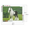 Diamond Painting -DIY Round Drill Long Haired Horse