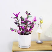 Oil painting wedding spider plant