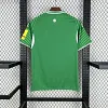 2025/2026 Newcastle United Away Green Football Shirt 1:1 Thai Quality